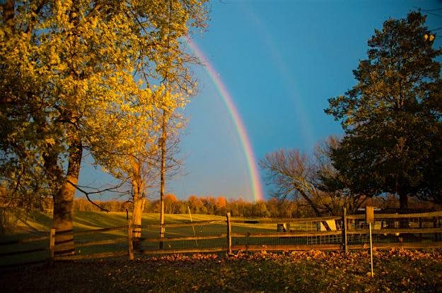 Travel News - turkey4 The 400 acre sanctuary for rescued farm animals.