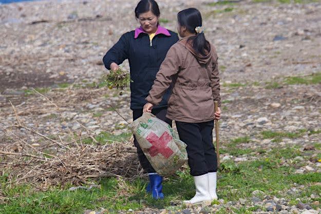 Travel News - AIRBNB IN NORTH KOREA Women collect grass to eat later.