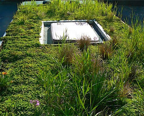 Travel News - phytokinetic-net-phytokinetic_bus3-resized-495x400-1 Madrid may be getting rooftop gardens on buses. Image: Phytokinetic