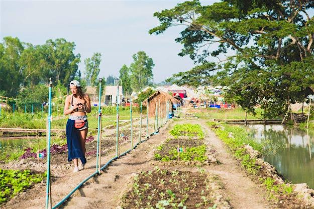 Travel News - theconfluencegroup-com-wonderfruitfarm The Wonderfruit festival takes place in Pattaya, Thailand, from February 16 to 19, 2017. Image: Scratch First
