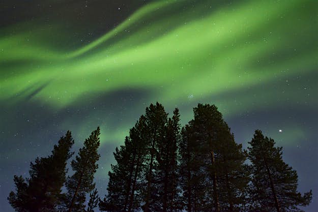Travel News - gettyimages-556449123-copy Amazing Northern Lights (Aurora borealis) display over pine trees in night skies over Sweden.