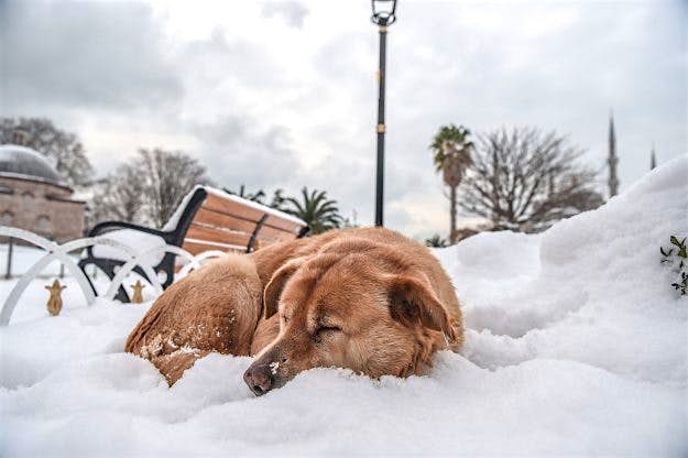 Travel News - TURKEY-SNOW-WEATHER-FEATURE Cold Weather