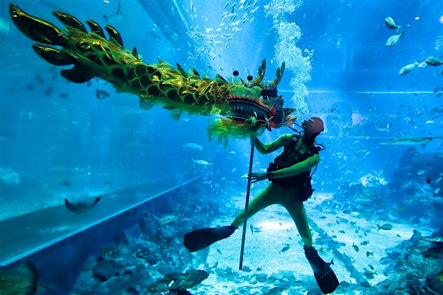 Travel News - S.E.A. Aquarium Celebrates Lunar New Year Chinese New Year