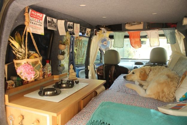 Woman Works Office Job, While Enjoying Van Life With Pet Fish