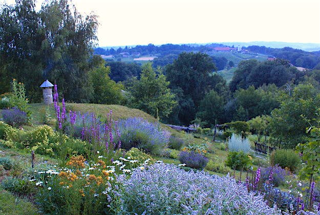 Travel News - Kolaric Garden 2 Flower garden