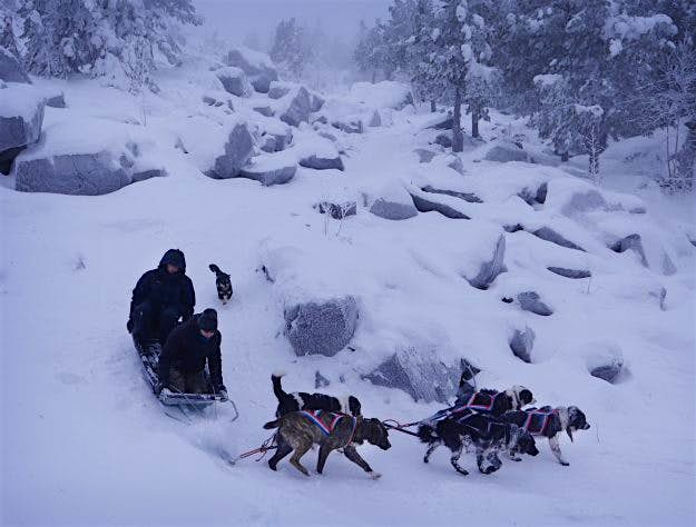 Travel News - This sled team is on its way down to collect food supplies. This sled team on its way down to collect food supplies.