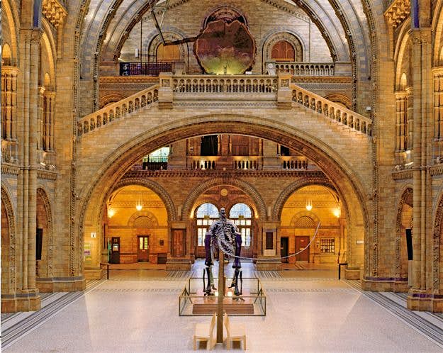 Travel News - nhm-ac-uk-dippy-hintze-hall Dippy the iconic museum dinosaur is embarking on a British tour. Image: The Trustees of the Natural History Museum, London