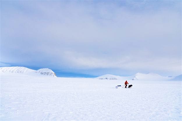 Travel News - svalbard-foto-ellinor-falkgjerdet Having set the record, Johanna will now concentrate on the return journey on the same route.