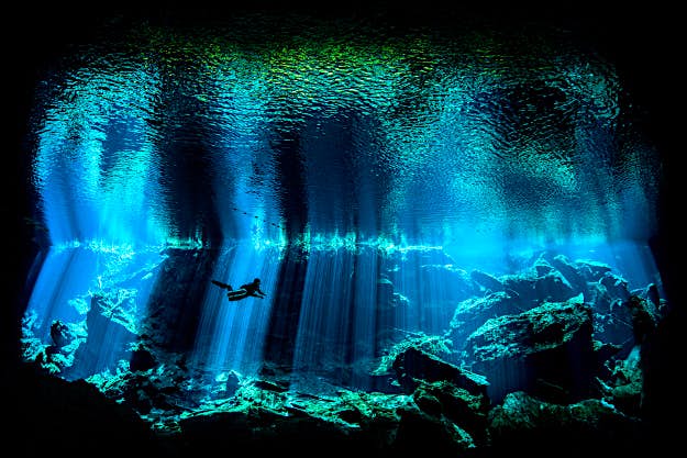 Travel News - 2_British Underwater Photographer of the Year 2017 British Underwater Photographer of the Year.