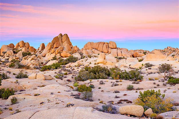 Travel News - shutterstock_169024493 Joshua Tree National Park, Mojave Desert, California.