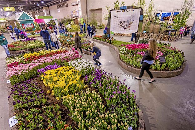 Travel News - 2016_Amand1editedSmall Image from the 2016 flower show.
