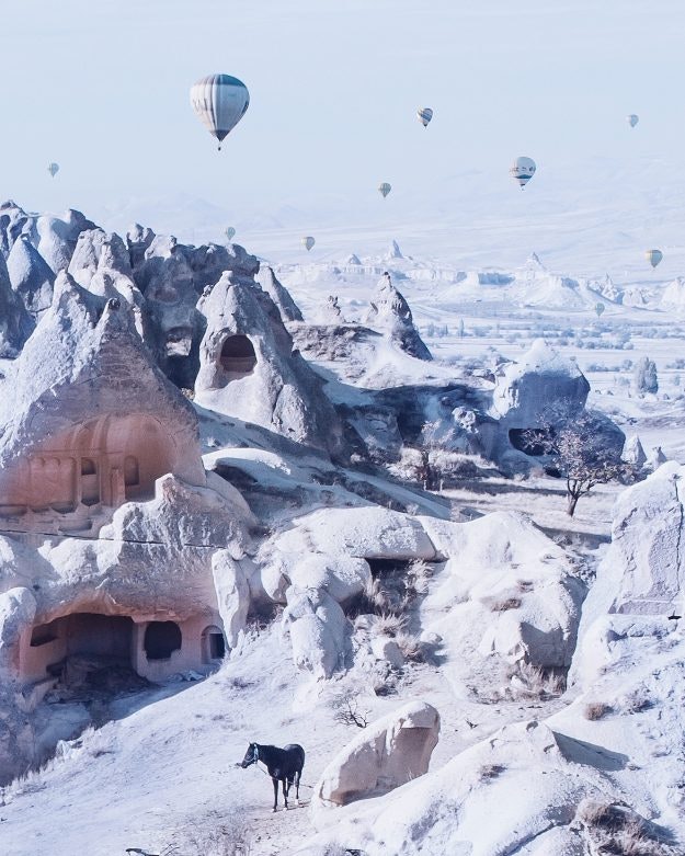 Hot air balloons seen over a snowy landscape.