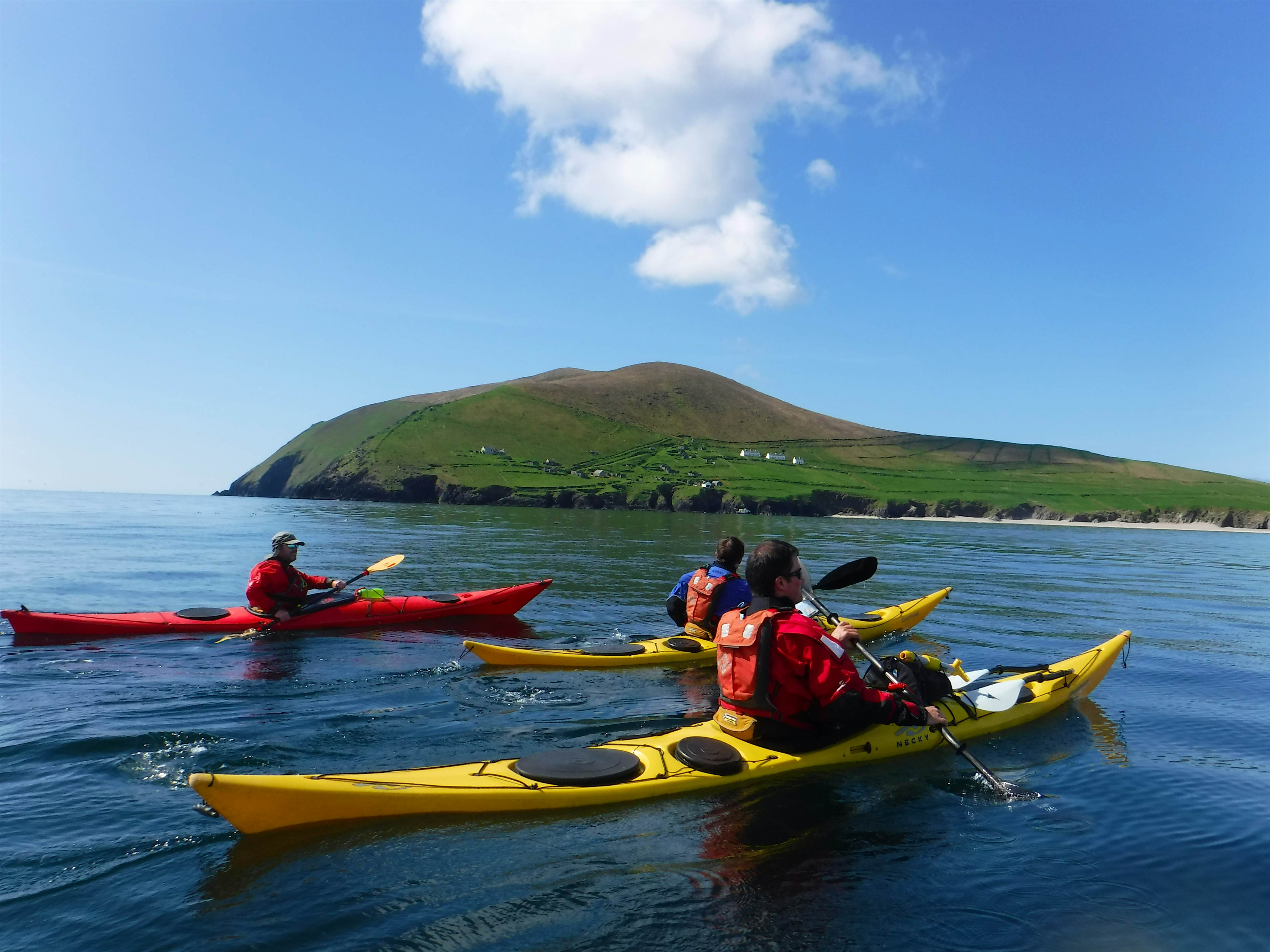 Travel News - Basking sharks in Kerry A group of kayakers came across a school of basking sharks in Kerry. Image: Irish Adventures