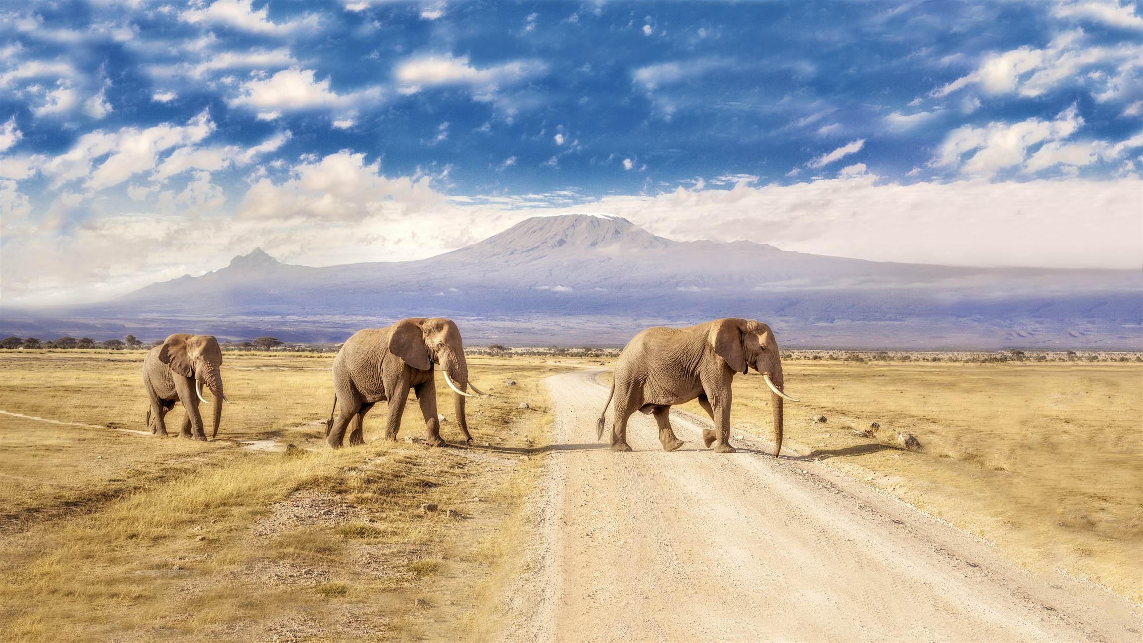 Travel News - Three giants Responsible Travel has pledged to withdraw holidays that include trips to zoos: Image: James Forsyth