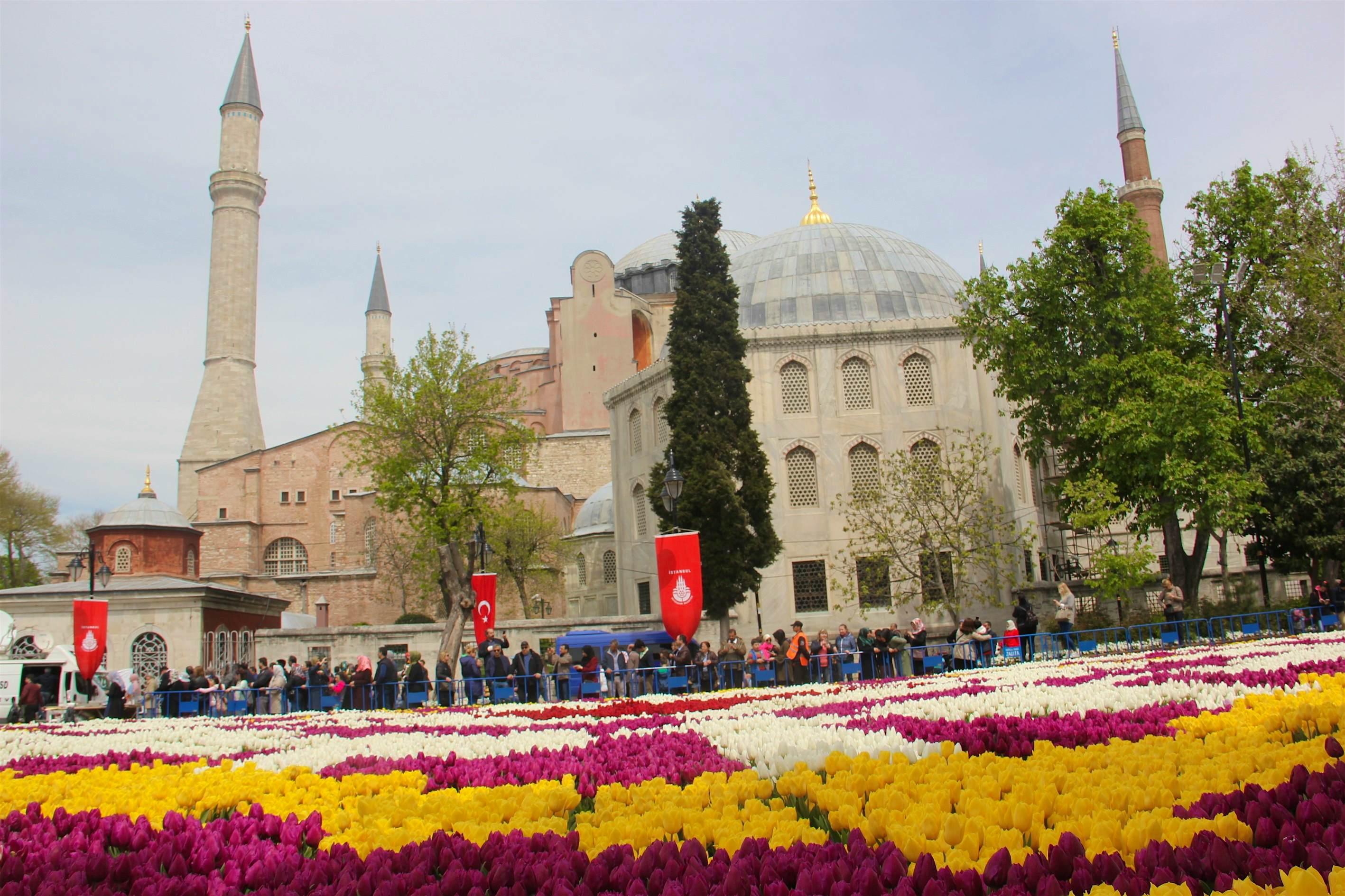 Travel News - The Largest Carpet of Tulips of The World in Sultanahmet The 1,453-square-metre tulip carpet in Istanbul, Turkey. Image: Ibrahim Halil Cekici/Anadolu Agency/Getty Images