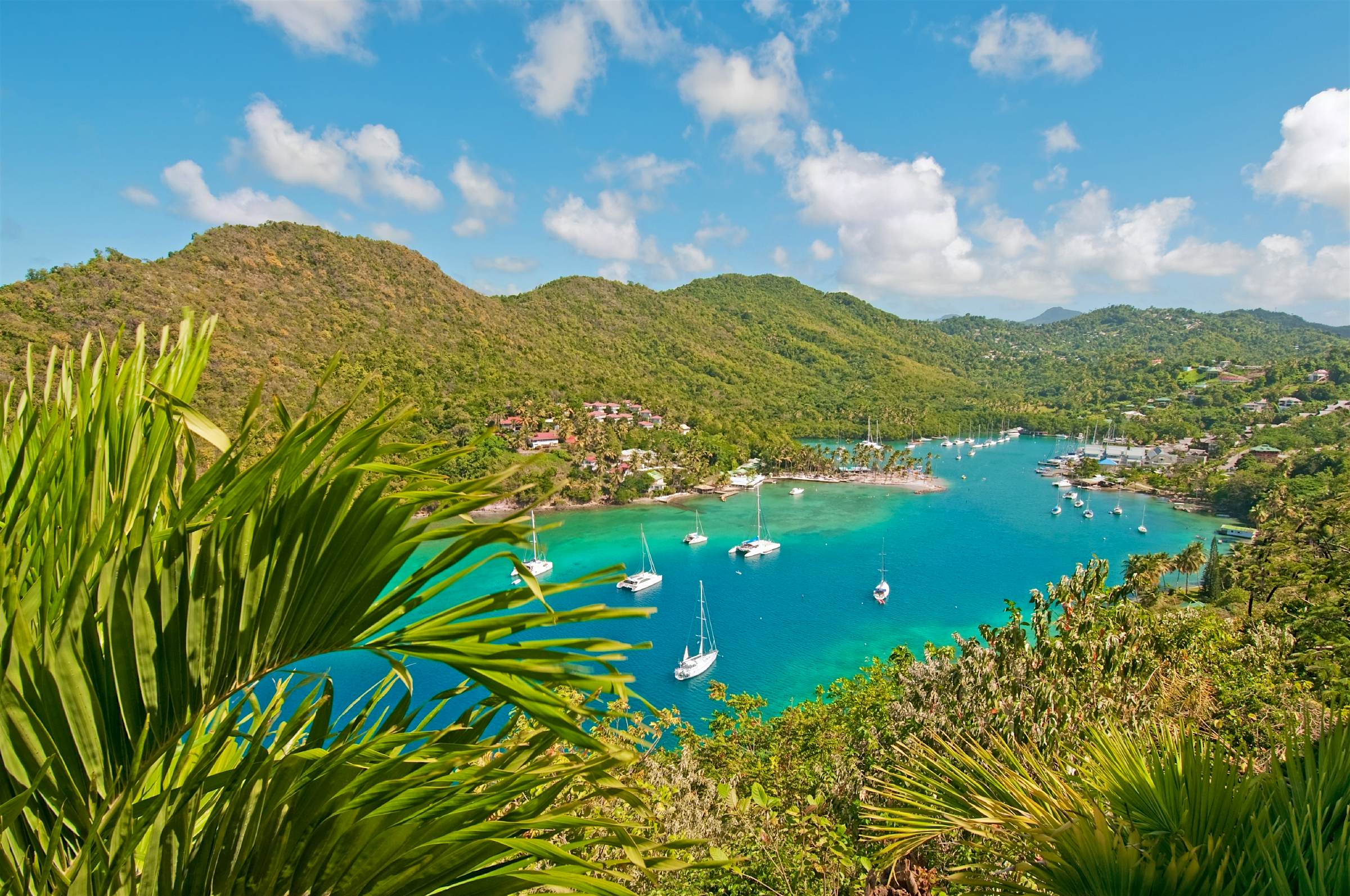 Travel News - Marigot Bay, St. Lucia Tourists have been urged to help protect St Lucia’s unique whiptail lizards and racer snakes. Image: Wildroze/Getty Images