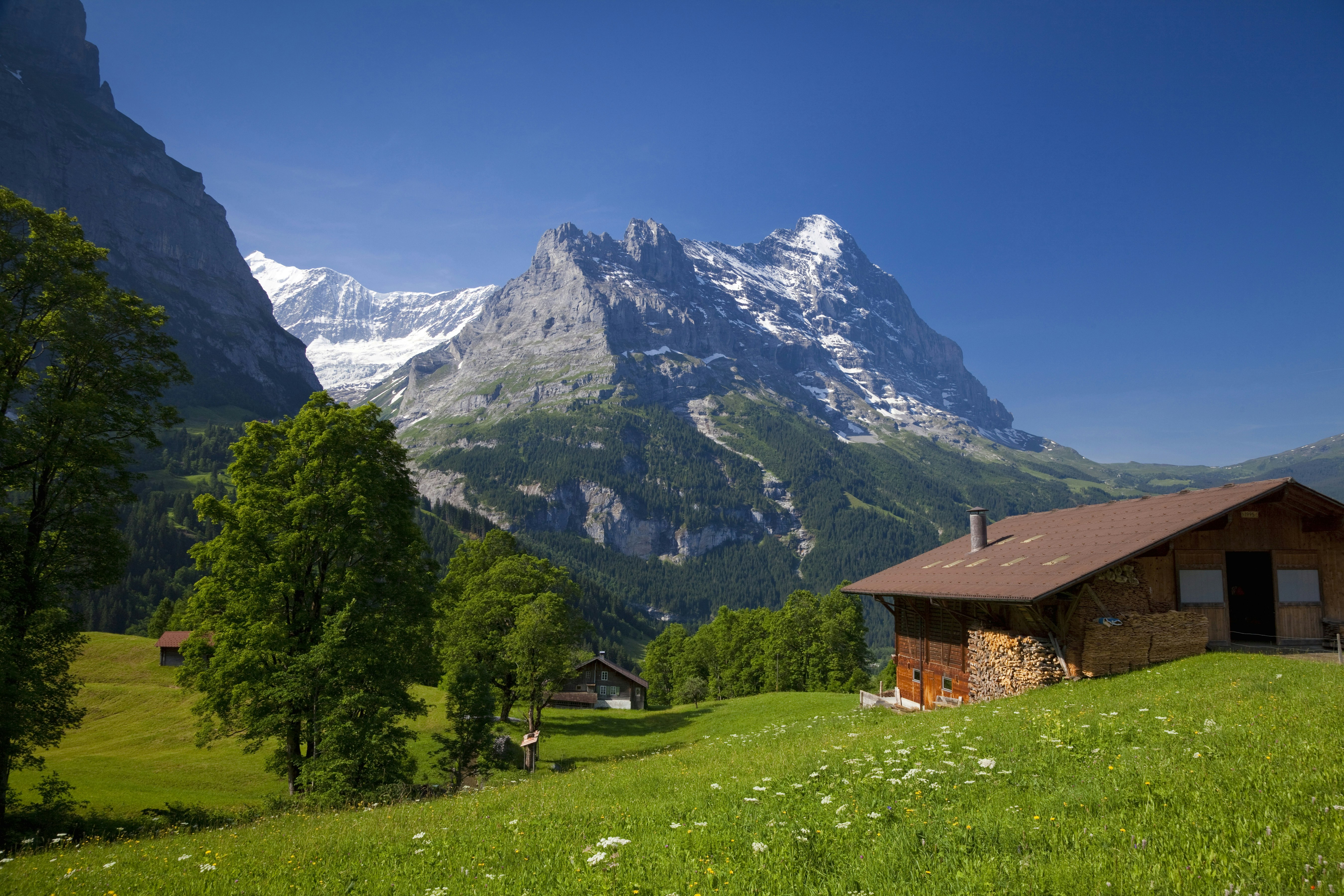 Europe, Switzerland, Grindelwald, View of Eiger and hut. Image by: JTB Photo /UIG via Getty Images