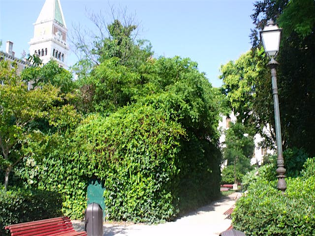 Travel News - Venice Park Gardens Elliot Brown Royal Gardens, Venice.