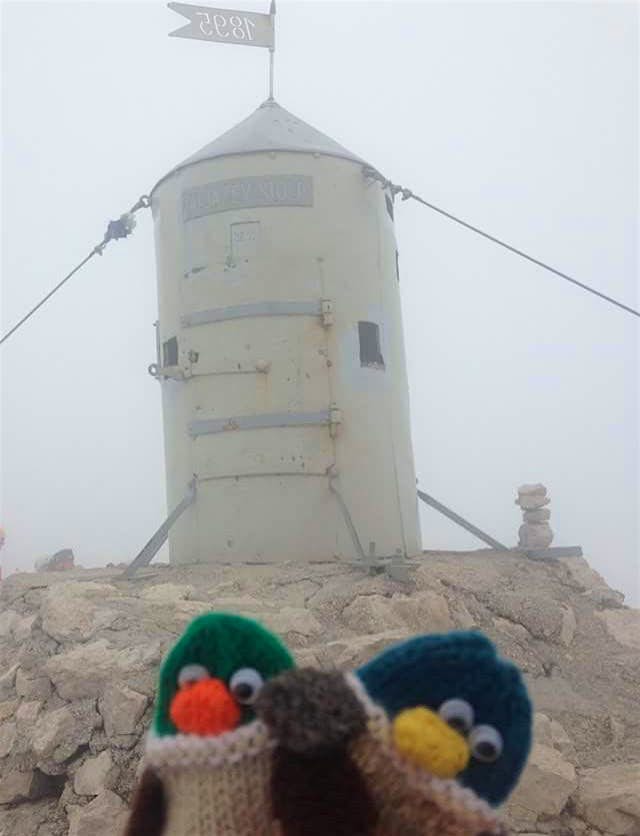Travel News - unnamed (8) Tommy and Mary Duck have been travelling the world with help from Lonely Planet's guides. Image: Dulverton Ducks