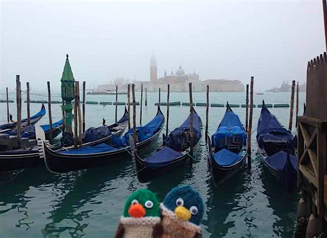 Travel News - unnamed (9) Tommy and Mary Duck have been travelling the world with help from Lonely Planet's guides. Image: Dulverton Ducks