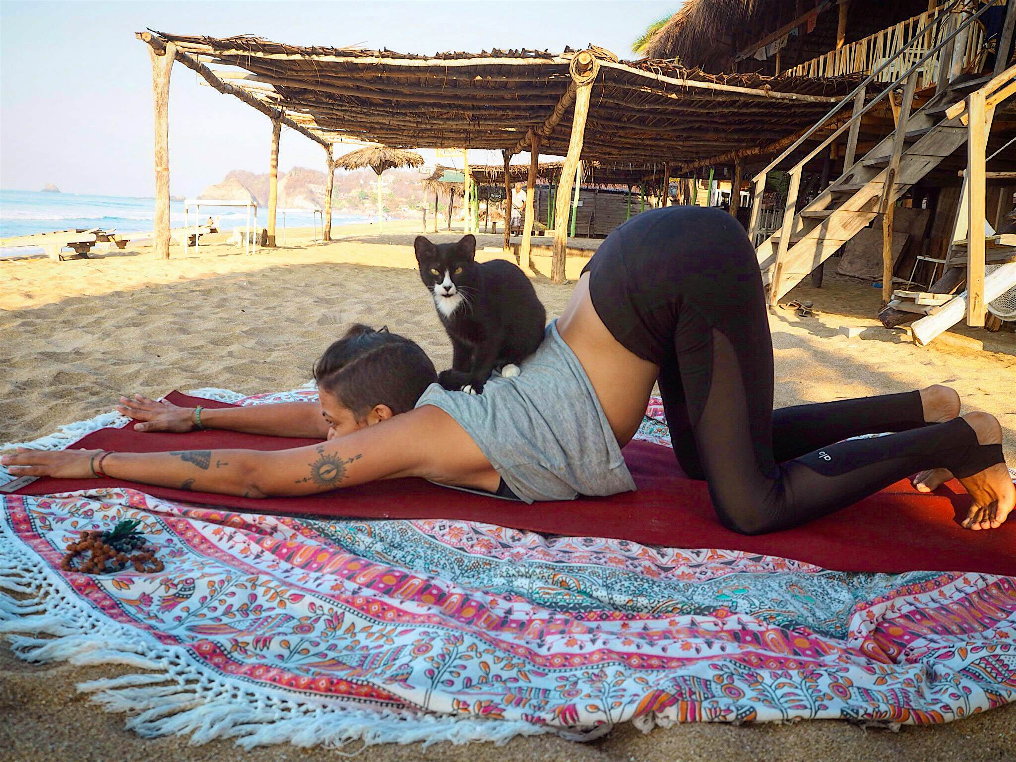 Travel News - Van Travel Couple Gabriella performing yoga with a feline friend. Gabriella Hummel and Sandro Alvarez / mediadrumworld.com