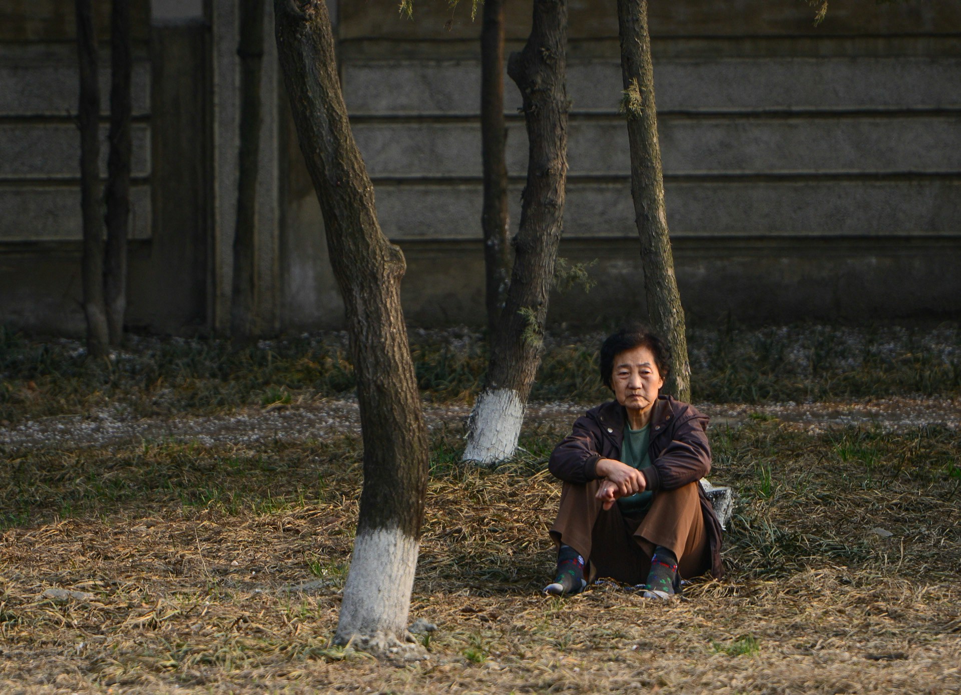 In the suburbs of Pyongyang, a North Korean woman waits.