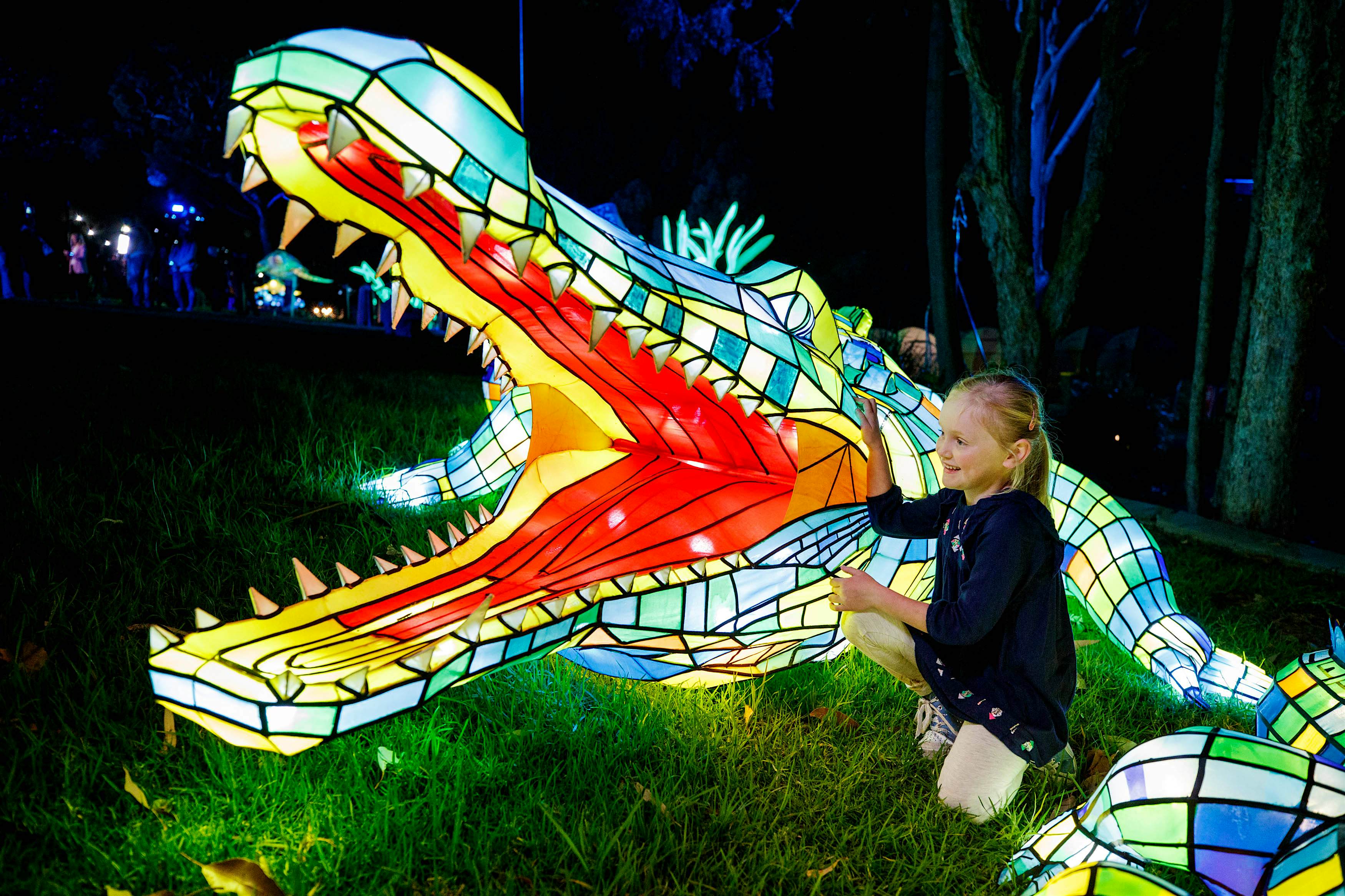 Travel News - VividSydney2017_TarongaZoo_SaltwaterCrocodile_Destination NSW_James Horan 0010 The Lights For The Wild exhibit at Toronga Zoo as part of vivid sydney music and light festival 2017