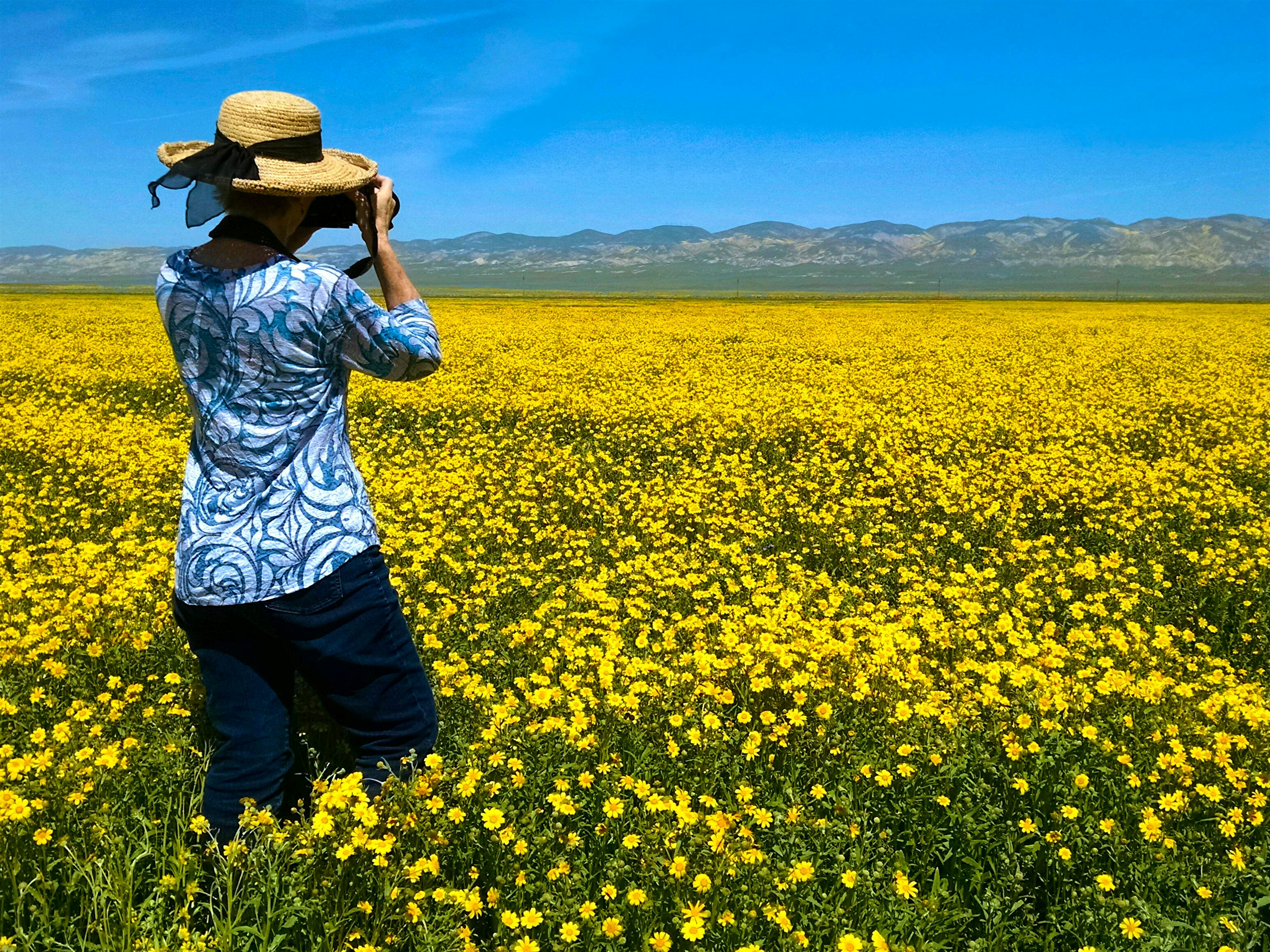 Travel News - Photographing The Wildflowers This is a photo of a woman in a straw hat photographing yellow wildflowers in the Carrizo National Monument of California.