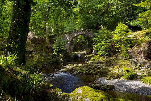 Travel News - game of thrones Filming Locations Tour Tollymore Forest Park, Northern Ireland