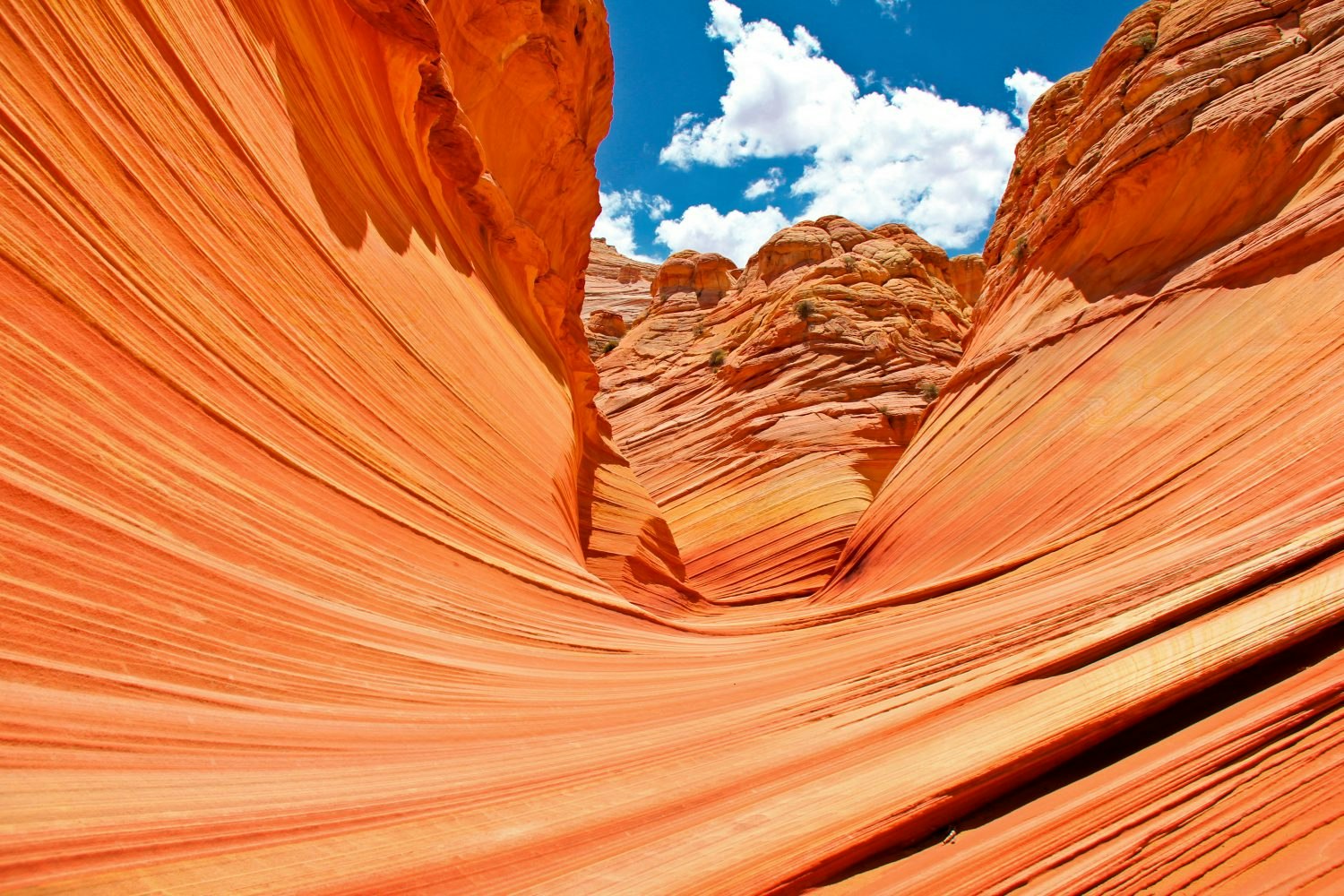 The Wave is located in the desert close the border of Arizona and Utah.