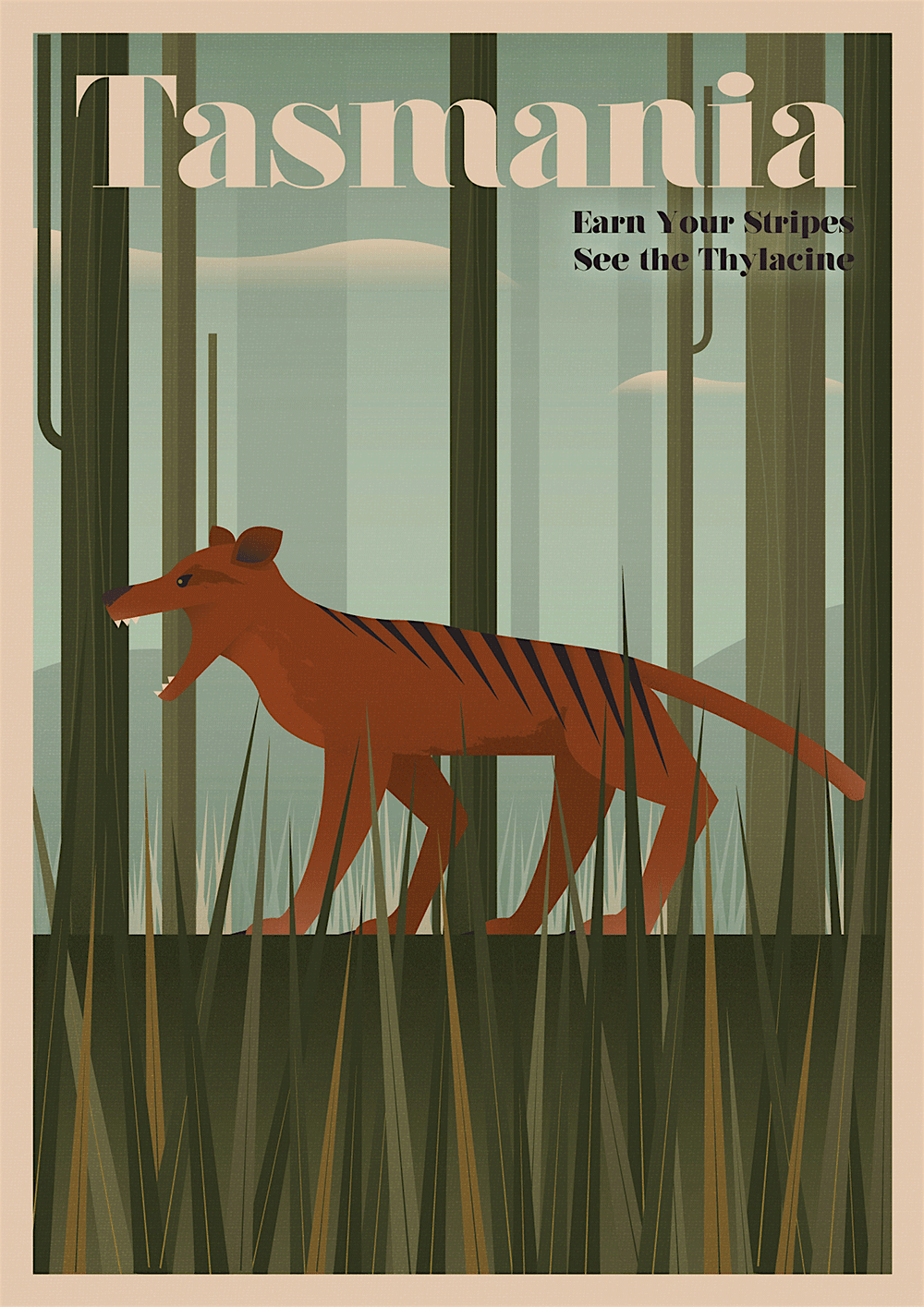 Travel News - Tasmania: The Thylacine The Thylacine was plentiful in Tasmania up to 80 years ago. Image: Unknown Tourism