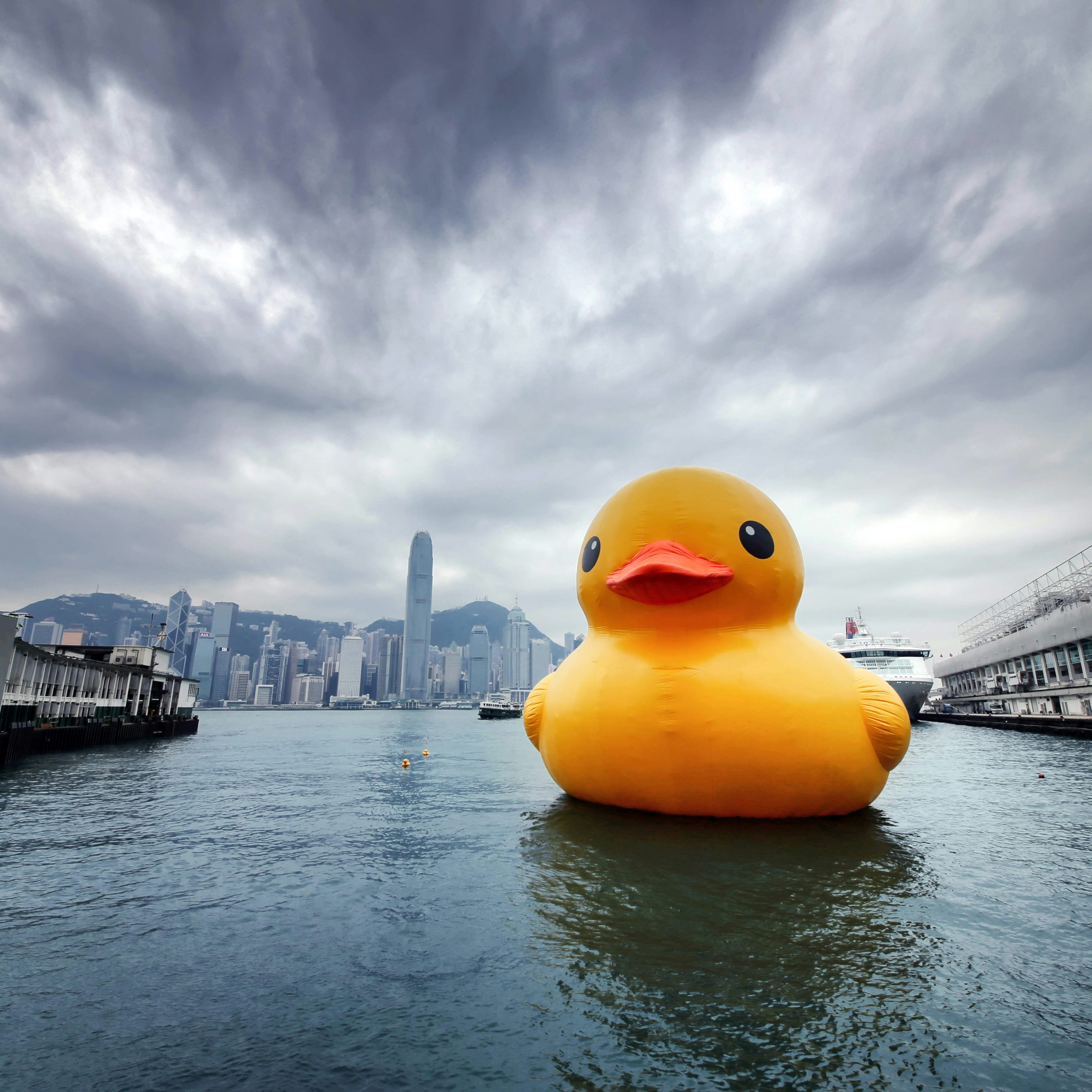 Rubber Duck by Florentijn Hofman (Dutch artist, 'Father of Rubber Duck') in Hong Kong.