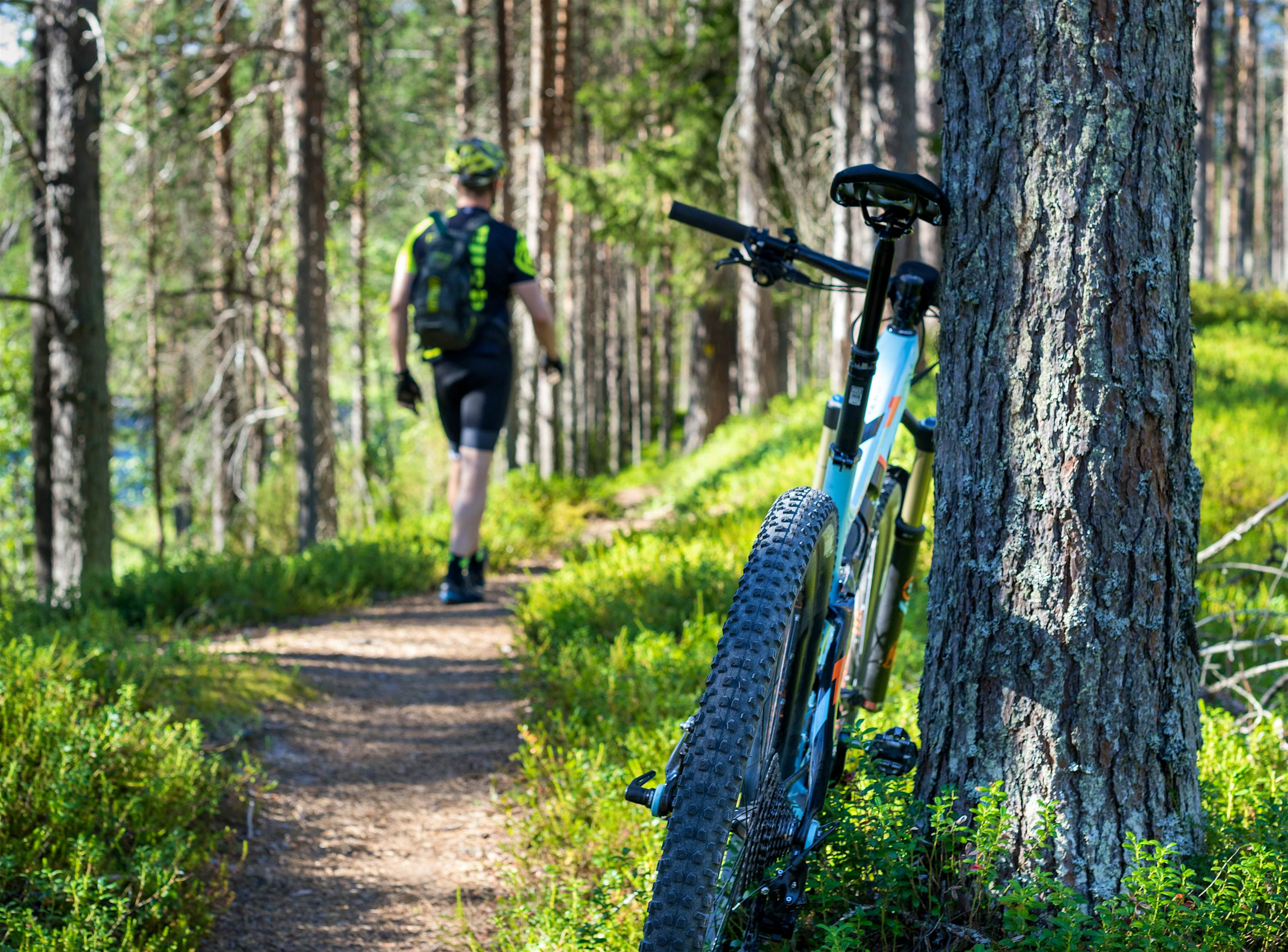 Travel News - Maastopyöräilyä Hossassa Metsähallitus Taneli Kaakinen Maastopyöräilyä Hossassa Metsähallitus Taneli Kaakinen,