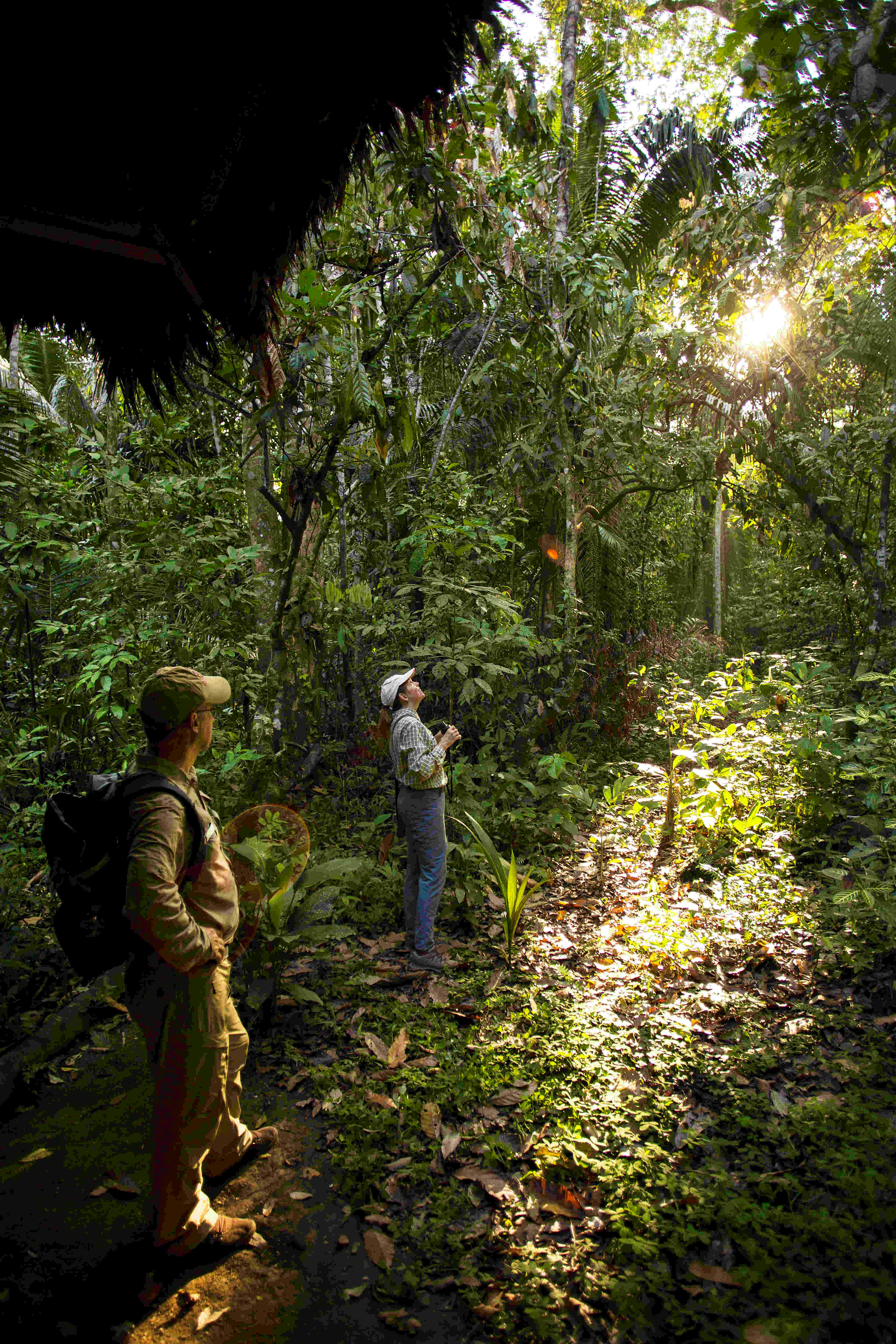 Travel News - excursions in peru rainforest Explore the Peruvian rainforest in the Amazon Basin. Image by Inkaterra