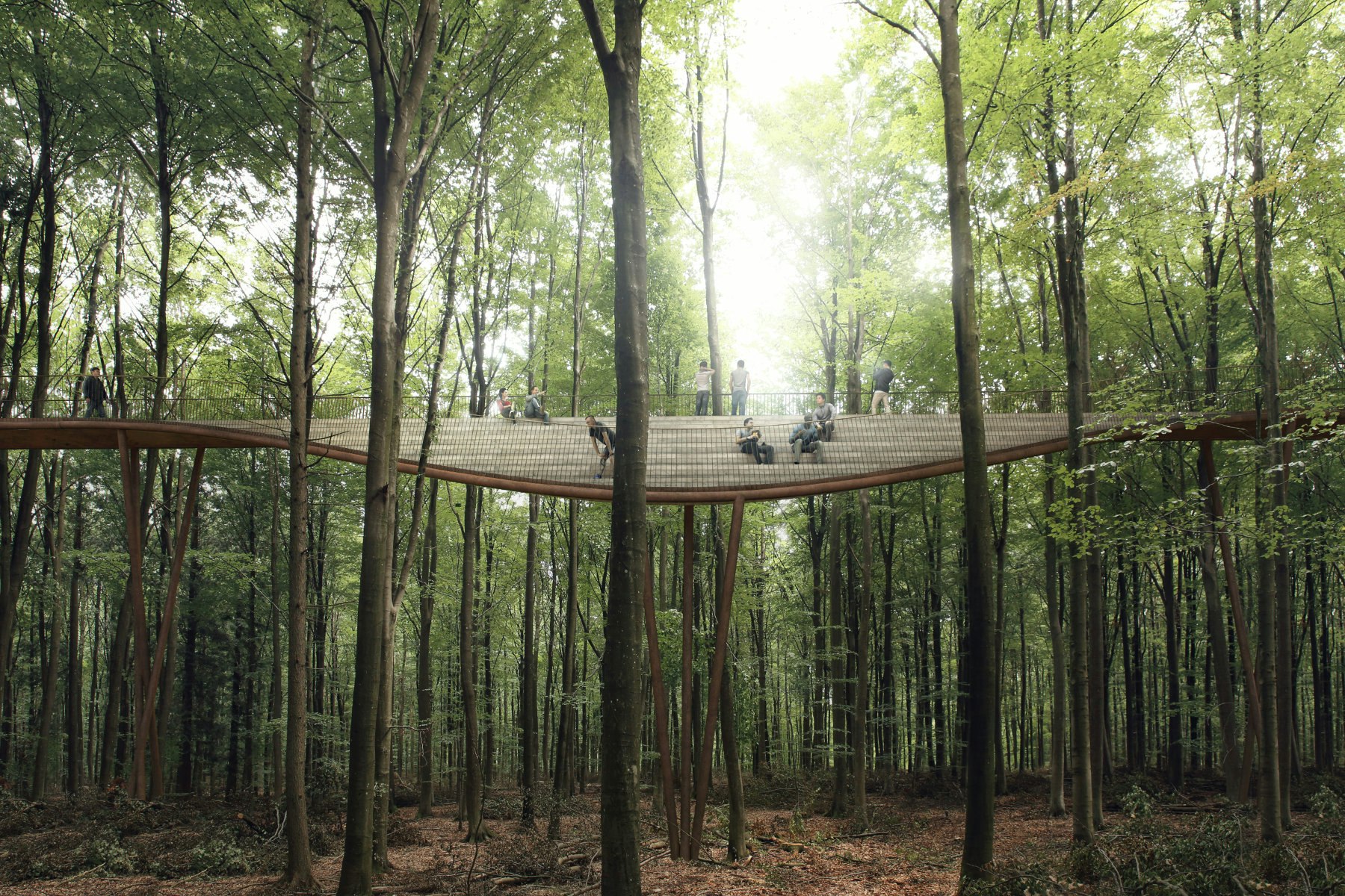 There will be plenty of rest stops along the forest canopy walk. Image by EFFEKT