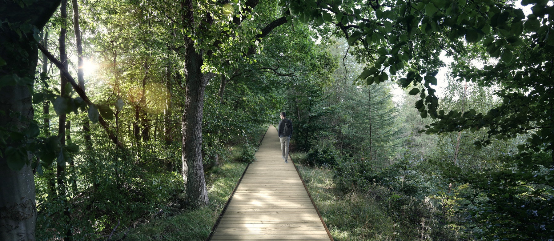 The tree walkway is designed to blend into the natural surroundings. Image by EFFEKT