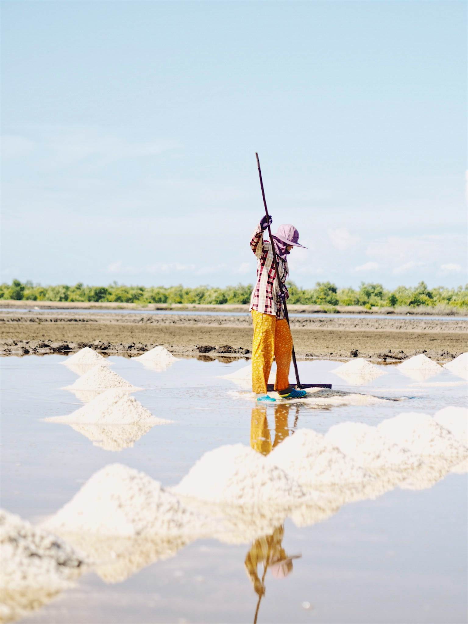 Travel News - Farmer at work in the Salt Flats Harvesting the salt in Cambodia