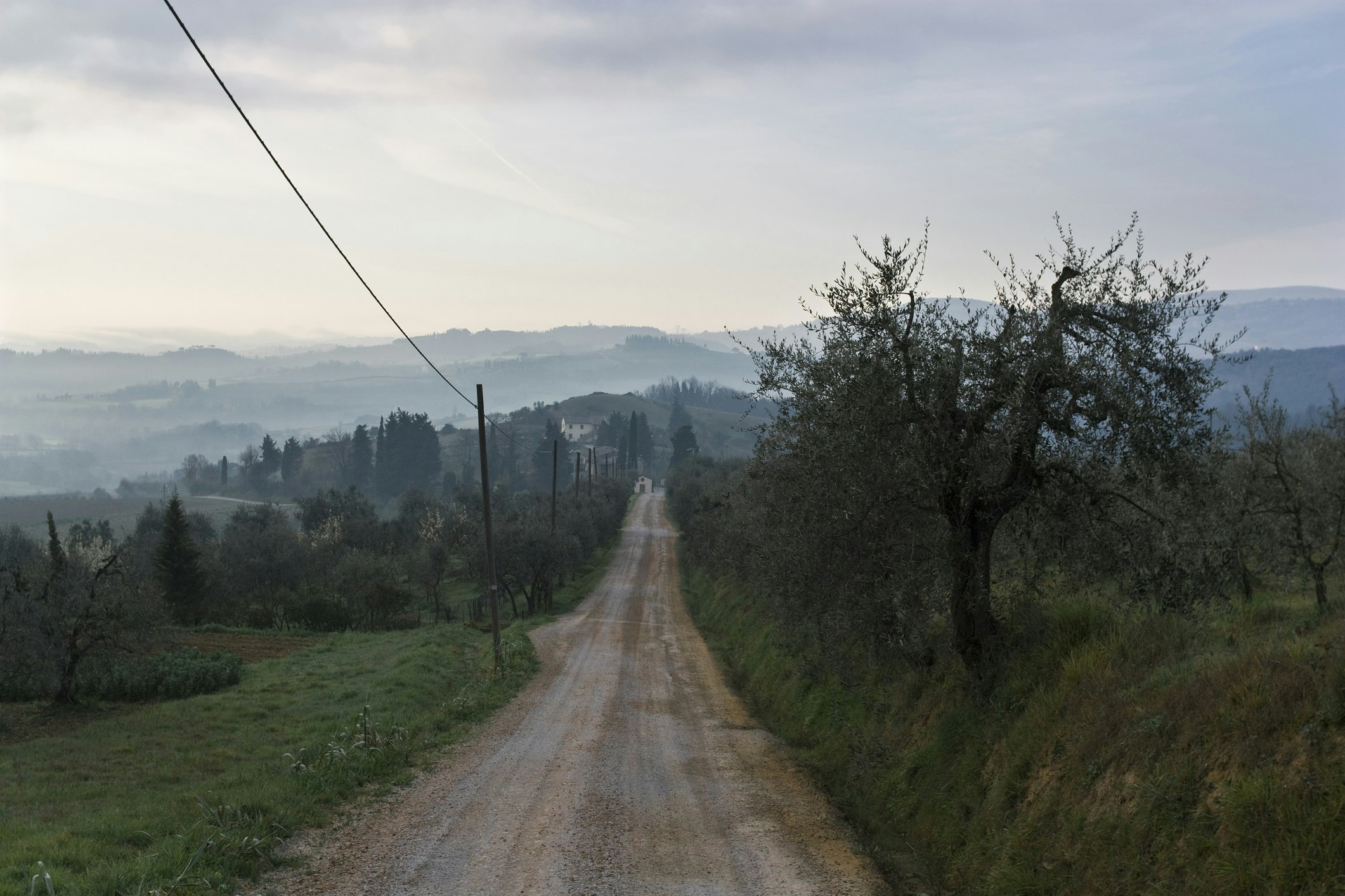 View of the hills between San Miniato and San Gimignano along the Via Francigena in Tuscany, Italy