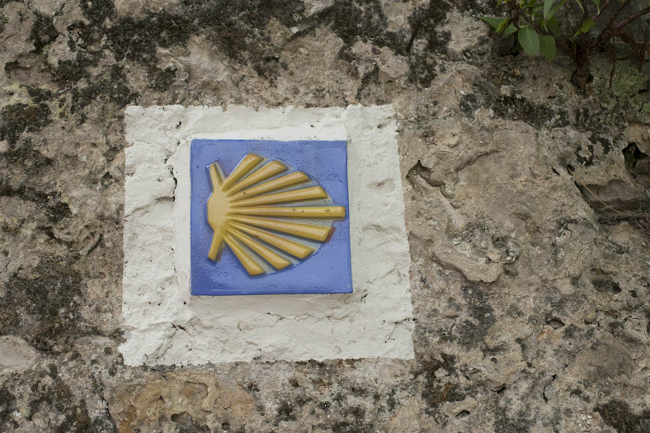 Travel News - Scallop shell symbol marking the pilgrim's path to Santiago de Compostela A shell sign pointing the way on the Santiago de Compostela. Image: Paula Sierra