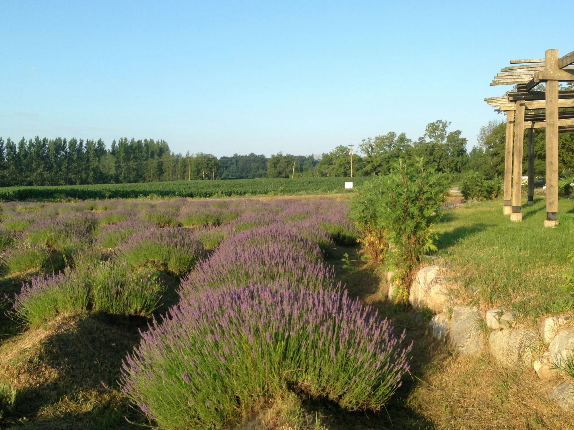 The first Orchards were planted there in 1871.