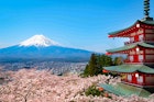 Climbing season gets underway on Mt Fuji