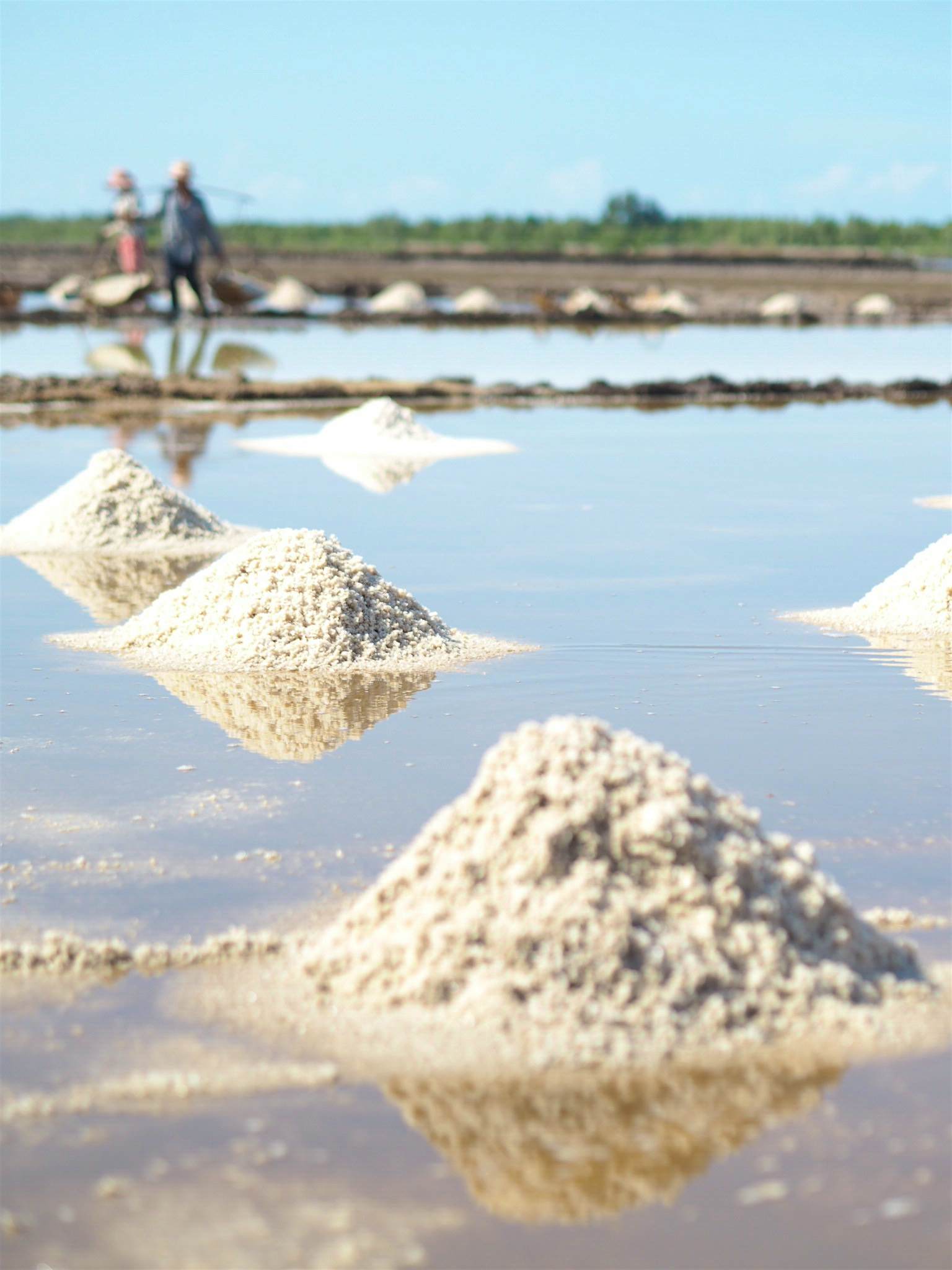 Travel News - Salt gathering in Cambodia Image by Elizabeth Curtis Salt ready for harvesting