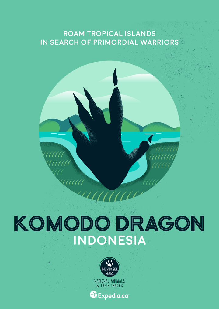Komodo Dragon, Indonesia. Image: Expedia