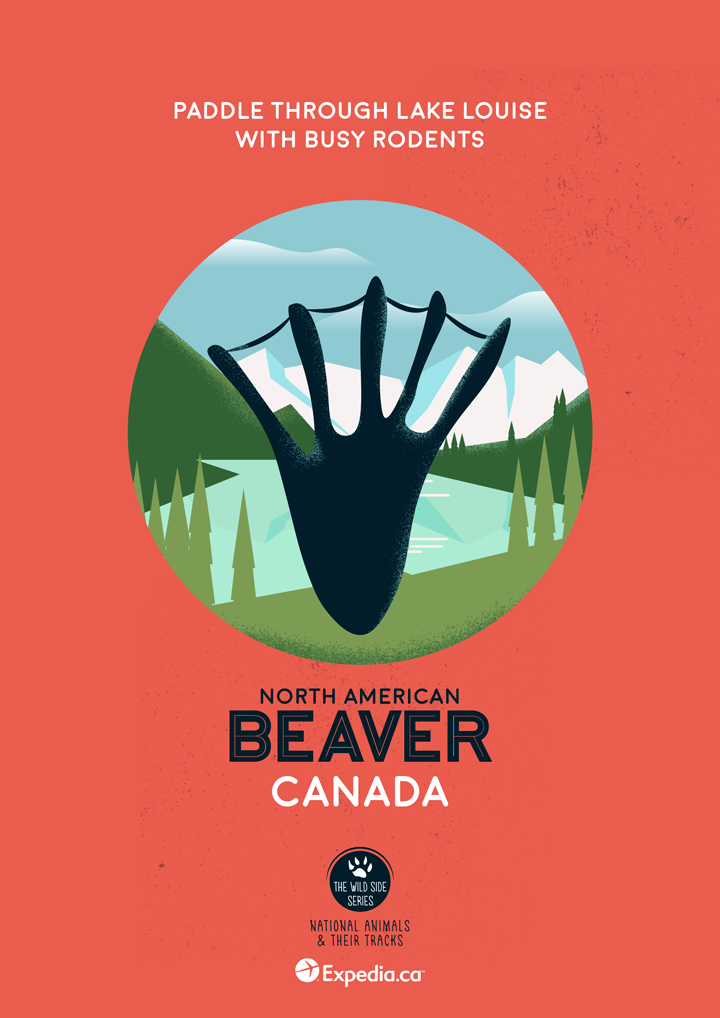 Beaver, Canada. Image: Expedia