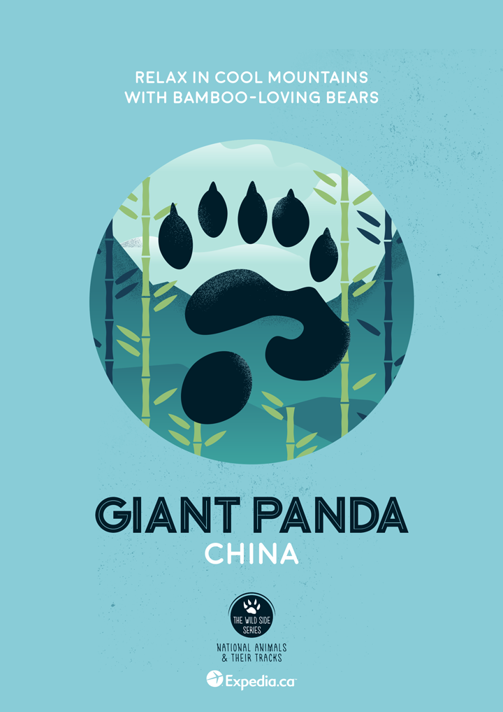 Giant Panda, China. Image: Expedia