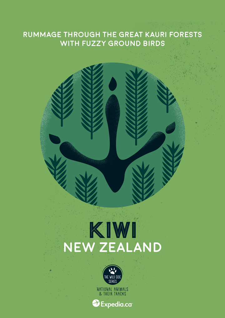 Kiwi, New Zealand. Image: Expedia