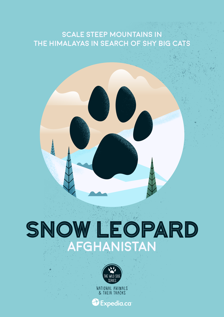 Snow Leopard, Afghanistan. Image: Expedia