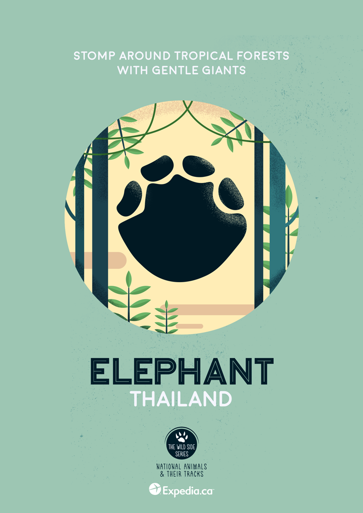Elephant, Thailand. Image: Expedia