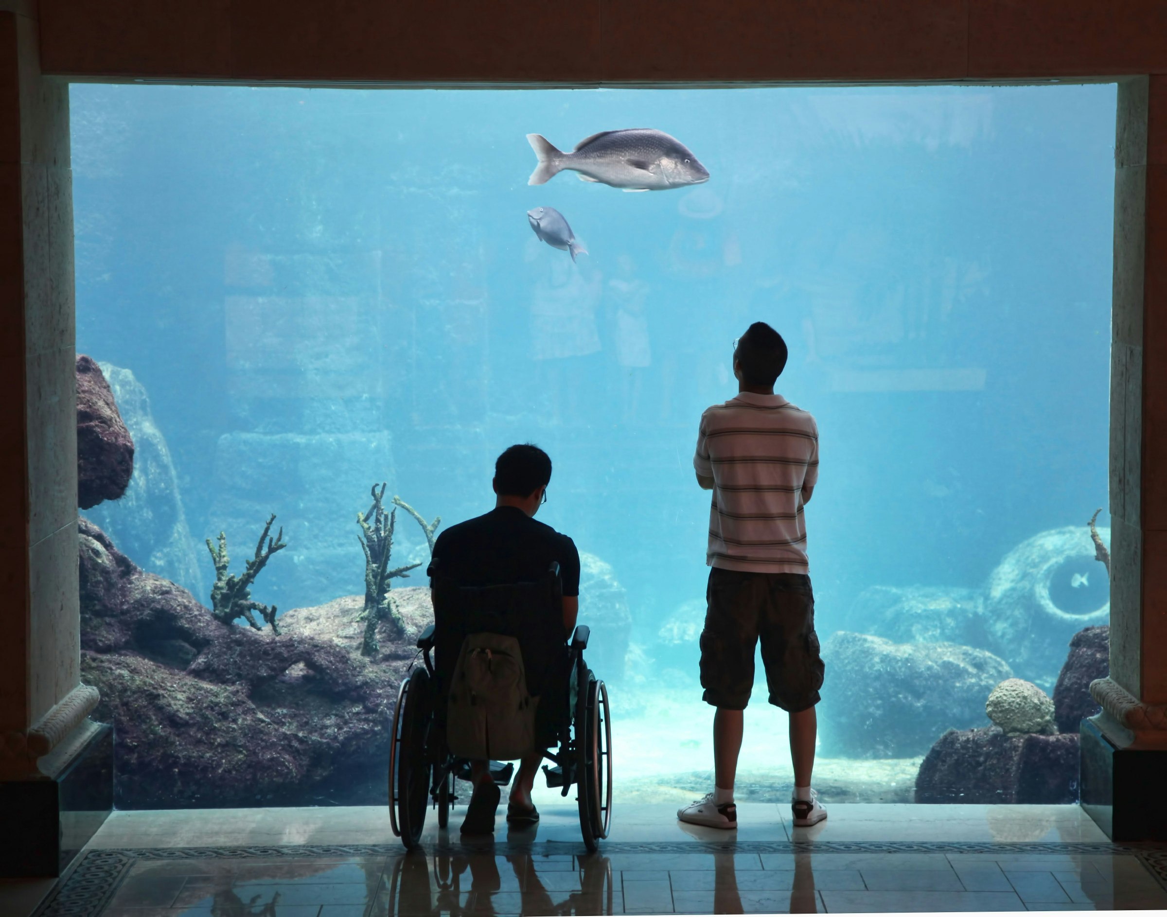 Two men enjoy the Atlantis Aquarium, Bahamas