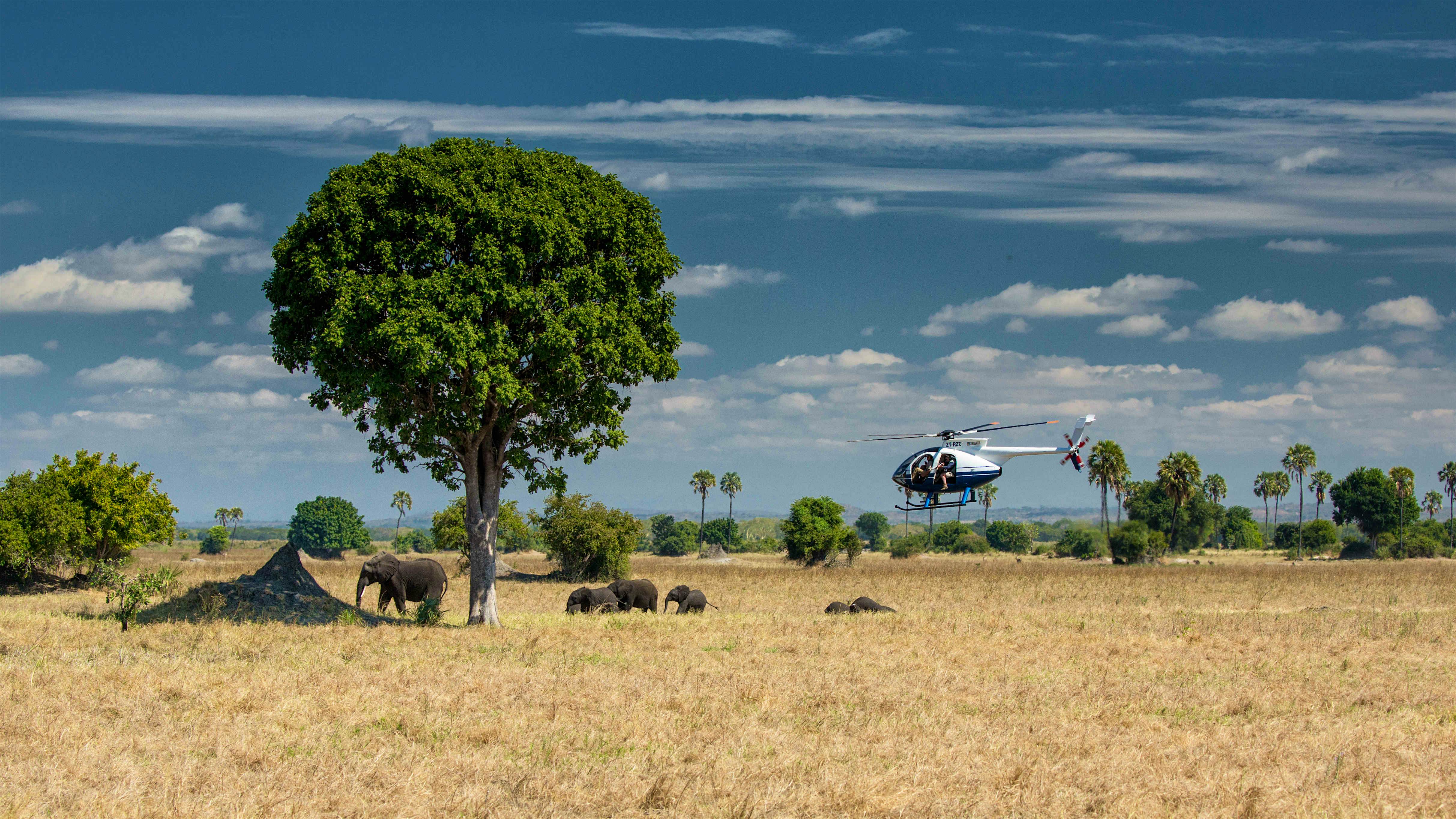Travel News - _African Parks_Frank Weitzer A helicopter lands in a park near some elephants in Malawi.